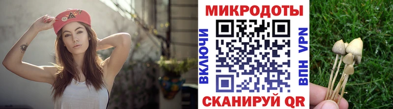 Купить где  Юрьев-Польский  Галлюциногенные грибы Magic Shrooms 