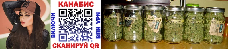 Купить где  Юрьев-Польский  Бошки марихуана SATIVA & INDICA 
