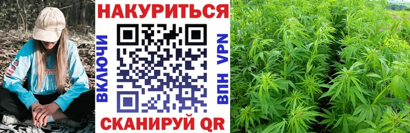 Бошки марихуана планчик Юрьев-Польский